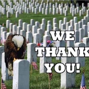 Meet your Posher, Terry